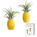 AIEVE Air Plant Holder, 2 Pack Air Plant Pineapple Planter Tillandsia Holder Hanger Geometric Air Plant Holder Stand Display with Magnet for Hanging Air Plants Indoor Wall Home Decor