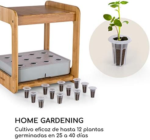 Blumfeldt Urban Bamboo Jardín hidropónico - Huerto, Sistema para ...