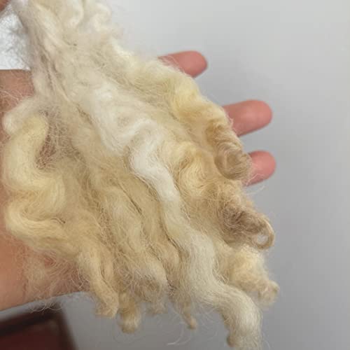 yesyZX WellieSTR 5g (Color A) Curly Hair Coils of Wool Felt Carded Sheep Wool,Roving,Fiber,Needle Felting,Spinning DIY Accessories