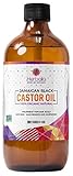 Jamaican Black Castor Oil - 100% Organic - Cold Pressed - for Hair Growth and Skin Conditioning - 8 oz(Regular)