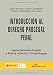 Introducción al derecho procesal penal: (ESPECIALMENTE DIRIGIDO A POLICÍA JUDICIAL Y CRIMINÓLOGOS) (SIN COLECCION)