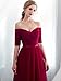 Beauty-Emily Cheap Wedding Dresses for Guest Burgundy Long Tulle Guests Dress Color Burgundy, Size US10-12