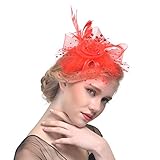 FeiYu Crafts Penny Mesh Hat Fascinator with Mesh Ribbons and A-Red Feathers(A-Red)
