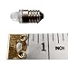 Sci-Supply Miniature LED Flashlight Bulbs, 3 Volt Mini Lamps, Warm White, E10 Small LED Bulbs, Pack of 5 (Warm White)