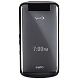 Sanyo SCP-3810 Gray Sprint Cell Phone