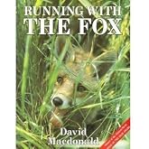 Running with the Fox