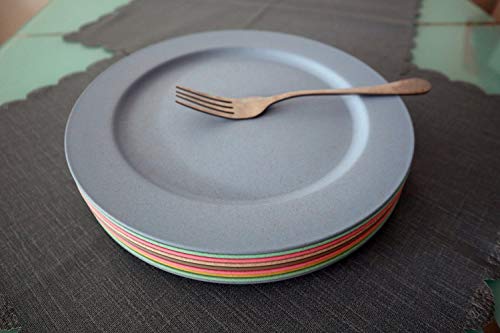 image for OLOEY 10inch/5pcs Dishwasher & Microwave Safe Wheat Straw Plates - Lig