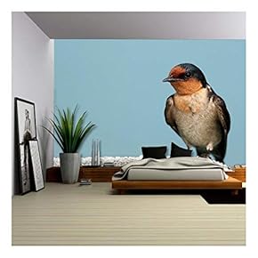 Close Up of a Wild Bird - Removable Wall Mural | Self-Adhesive Large Wallpaper - 66x96 inches