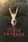 Livro A IMAGEM DA DEUSA PROFANA