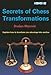 Secrets Of Chess Transformations by 