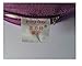Yinglite Memory Foam Travel Neck Pillow U Shape , Ortho Therapy Neck Support Pillow with Velour Cover (Violet)