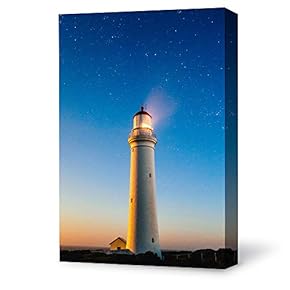Canvas Wall Art Bright Moon Shining Forests Painting Artwork for Home Prints Framed - 12x18 inches