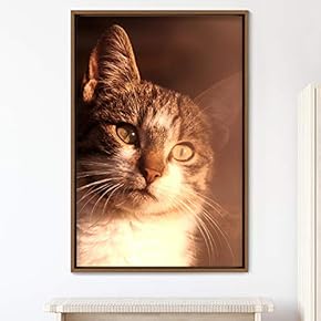 signwin Framed Canvas Wall Art Cat Animals Cat...