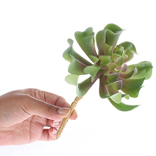 Pair of Unique Looking Succulent Picks for Fairy Gardens, Crafting, and Embellishing