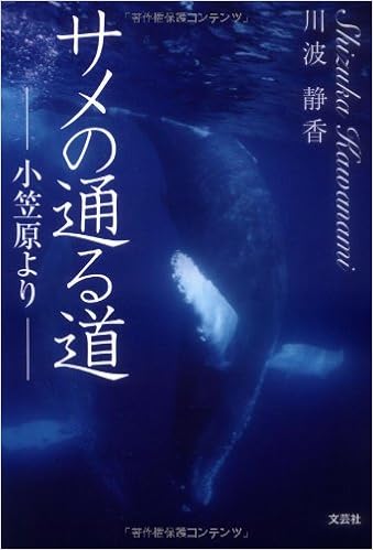 サメの通る道 小笠原より 川波 静香 本 通販 Amazon
