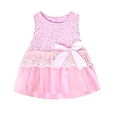 Fairy Season Cute Baby Girls Princess Party Tutu Lace Bowknot Flower Gown Dress Pink