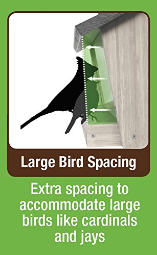 Nature's Way Bird Products 066439 Bwf28 Bamboo Hpr Feeder W/Suet