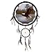 OBI 1 X Dream Catcher 13 Inch/Eagle