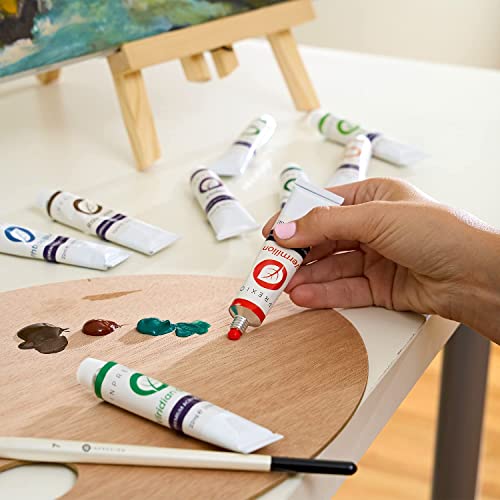 Inprexion Artist Paint Brush Starter Set 15 Piece Professional Artist Paint Brushes and 24