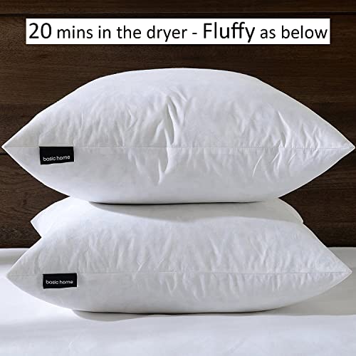 basic home 22x22 Decorative Throw Pillow InsertsDown Feather Pillow