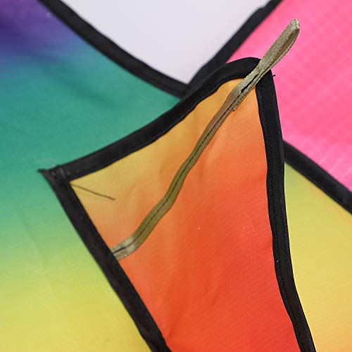 image for ZS-Juyi Beginner Phoenix Kites 86x 57Inch for Kids and Adults Bird Kit