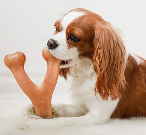 Benebone Wishbone Durable Dog Chew Toy for Aggressive Chewers, Made in USA, Medium, Real Bacon Flavor Benebone Wishbone Durable Dog Chew Toy for Aggressive Chewers, Made in USA, Medium, Real Bacon Flavor