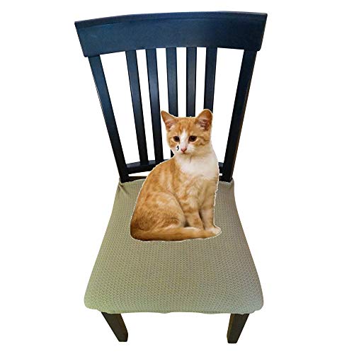 image for Reliabest Waterproof Dining Chair Cover Protector - Pack of 2 - Perfec