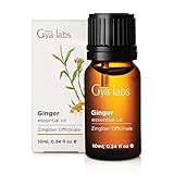 Ginger Essential Oil - A Warm Touch of Soothing Comfort & Revitalization (10ml) - 100% Pure Therapeutic Grade Ginger Oil