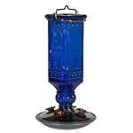 Perky-Pet 8117-2 Cobalt Blue Antique Bottle Hummingbird Feeder, 16 Ounce
