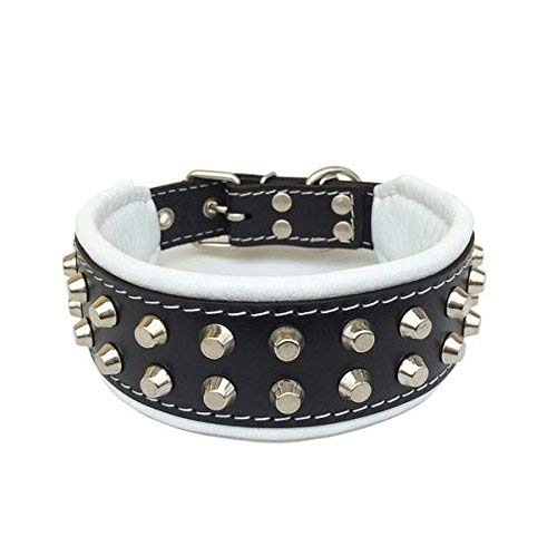 Bestia "Rocky studded dog collar. Hand made. french bulldog to german shepherd, 1 or 2 inch wide, 100% leather, soft padded, 7 sizes, Made in Europe