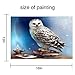 Dylan's cabin DIY 5D Diamond Painting - Full Drill Rhinestone Paint With Diamonds Home Wall Decor（art/16x12inch