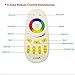 2.4G RF RGB Controller Kit, Visdoll 4-Zone RGB Remote + 4-Zone RGB Controller, Mi-Light 2.4G RF Touch Screen Controller DC 12V/24V For Flexible RGB LED Strip Light (RGB Controller Kit)