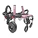 Walkin' Wheels Small Dog Wheelchair, Lightweight Dog Wheelchair for Back Legs, 11-14 lbs, for 3-6 inches Leg Height - Pink