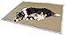 KritterWorld Pet Microplush Sherpa Snuggle Blanket, 50-Inch-by-60-Inch, Latte