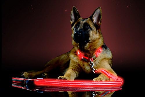 Pet Industries Premium LED Reflective Dog Leash, USB Rechargeable, Available in 6 Colors