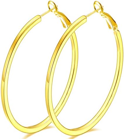 Hoop Earrings, Fashion Jewelry Rose Gold Silver Plated Hoop Earrings for Women Girl Sensitive Ears 2''