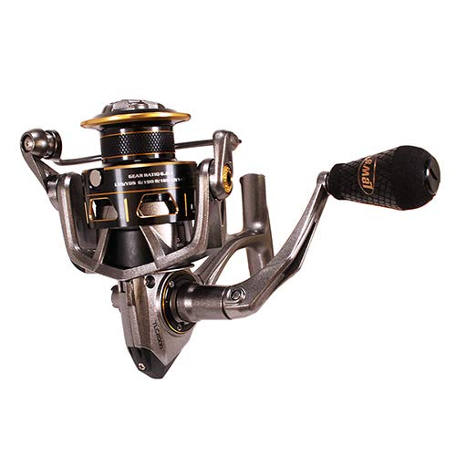 Lews Fishing TLC2000 Custom Pro Speed Spin Spinning Reels, 6.2: 1 Gear Ratio, 11Ss+1Rb Bearings, 20 lb Max Drag, Ambidextrous