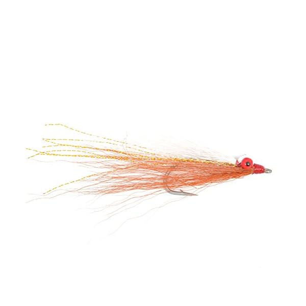 The-Fly-Fishing-Place-Clousers-Minnow-Fly-Fishing-Flies-Assortment-Collection-of-8-Saltwater-and-Bass-Flies-Hook-Size-10