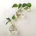 AWEVILIA Wall Hanging Plants Planter Terrariums Creative Fashion Glass Hexagon Shape Vase Home Decor Wall Plants Set of Two