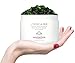 YUNASENCE L'OR DE LA MER Organic Anti Cellulite Body Blaster Scrub with Sea Salt, Seaweed, Lemongrass 13oz Smoothing Exfoliating Moisturizing Skin Massage Treatment.
