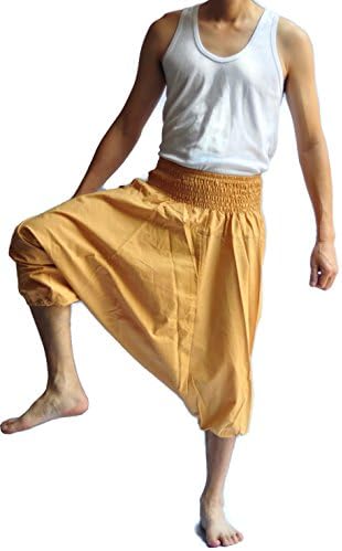 Siam Trendy Men's Japanese Style Pants One Size All Brown