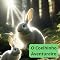 Livro Benny, o coelhinho aventureiro