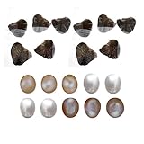 10pcs Natural Freshwater Pearls Oysters kit with Cultured Oval Pearls Inside Birthday Gifts 9mm