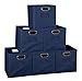 Set of 6 Cubo Foldable Fabric Bins- Blue