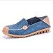 Labato Style Women's Floral Print Breathable Soft Leather Slip Resistant Walking Loafer Flats (Blue, 8 B(M) US)