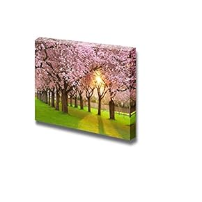 Blossoming Cherry Tree Garden on a Lawn with The Sun Shining Through The Branches - Canvas Art Wall Art - 12" x 18"