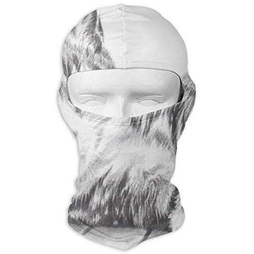 Balaclava Human Evolution Full Face Masks UV Protection Ski Hat Headcover Motorcycle Neck Warmer Hood for Cycling Hiking Women Men Youth