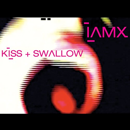 IAMX - Kiss and Swallow (Moonbootica Remix) Lyrics - Zortam Music