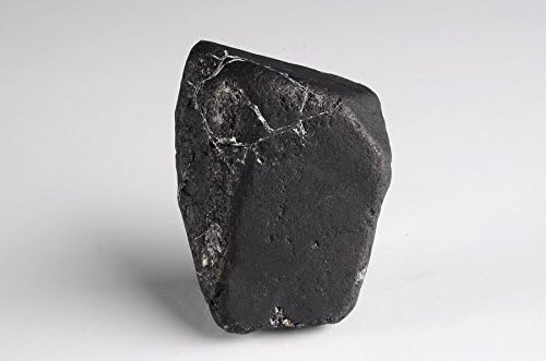 Shungite Tumbled Stone | Geology Minerals Gemstones | Natural History Collection (2EQB 4)