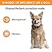 STOPWOOFER Humane Dog Bark Collar – Anti-Barking Collar for Small Medium and Large Dogs – Rechargeable Anti bark Collar – No bark Collars Sound Warning and Vibration- Dog Collar Anti Barking Devicethumb 2